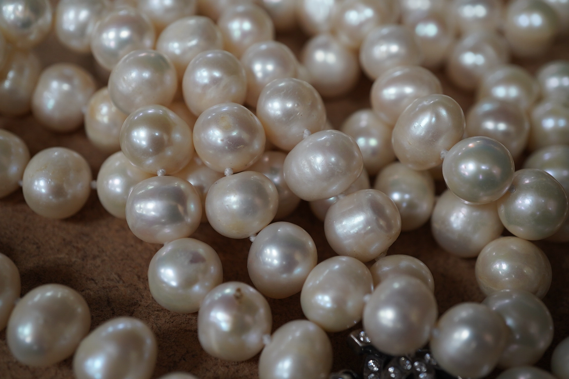 A modern long single strand cultured pearl necklace, with paste set white metal 'double C' clasps, 124cm. Condition - fair